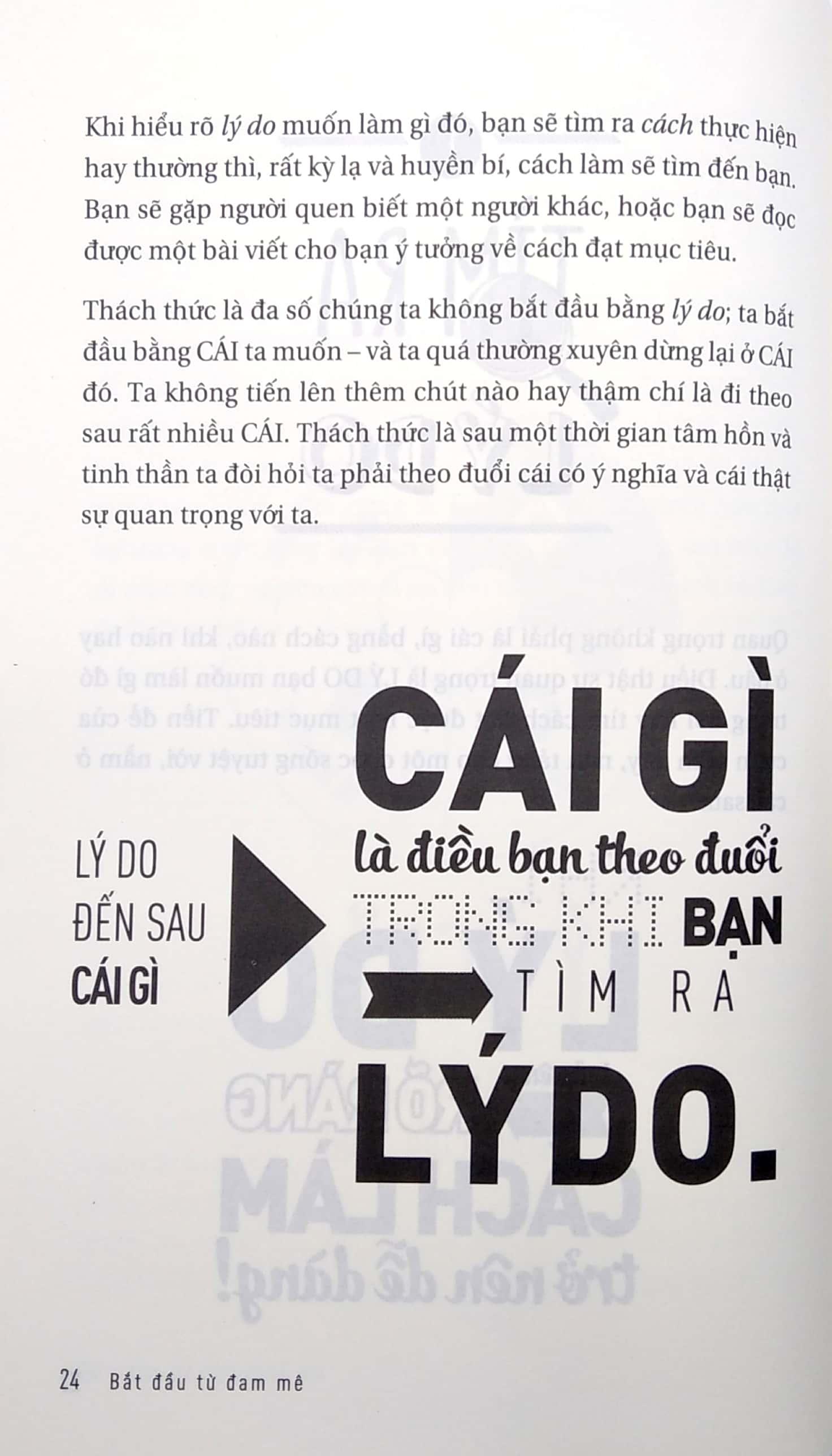 Bắt Đầu Từ Đam Mê - Làm Điều Bạn Thích Và Yêu Điều Bạn Làm