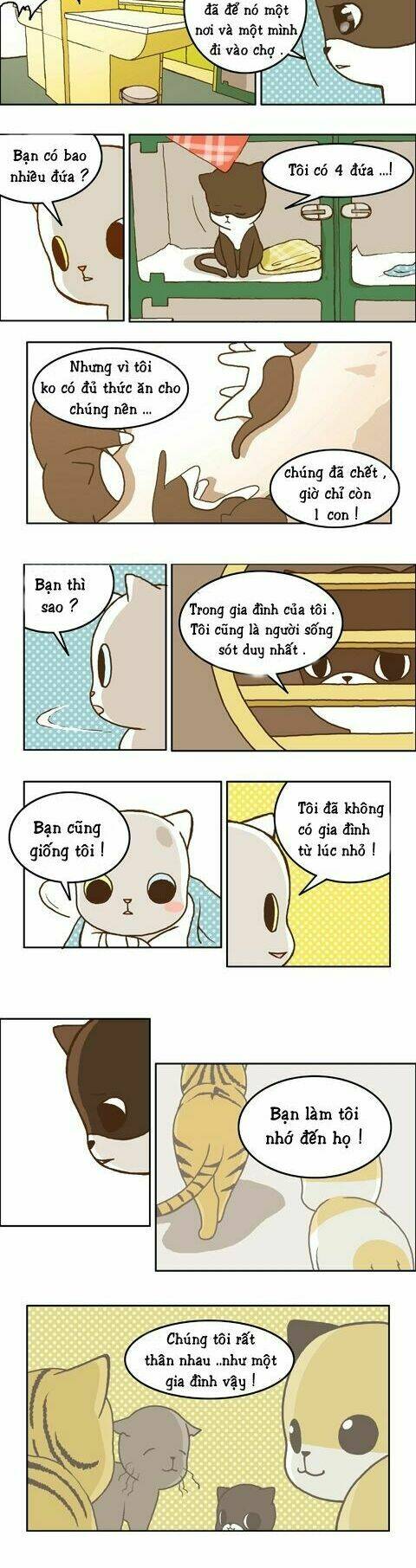 papi nyang chapter 11 6