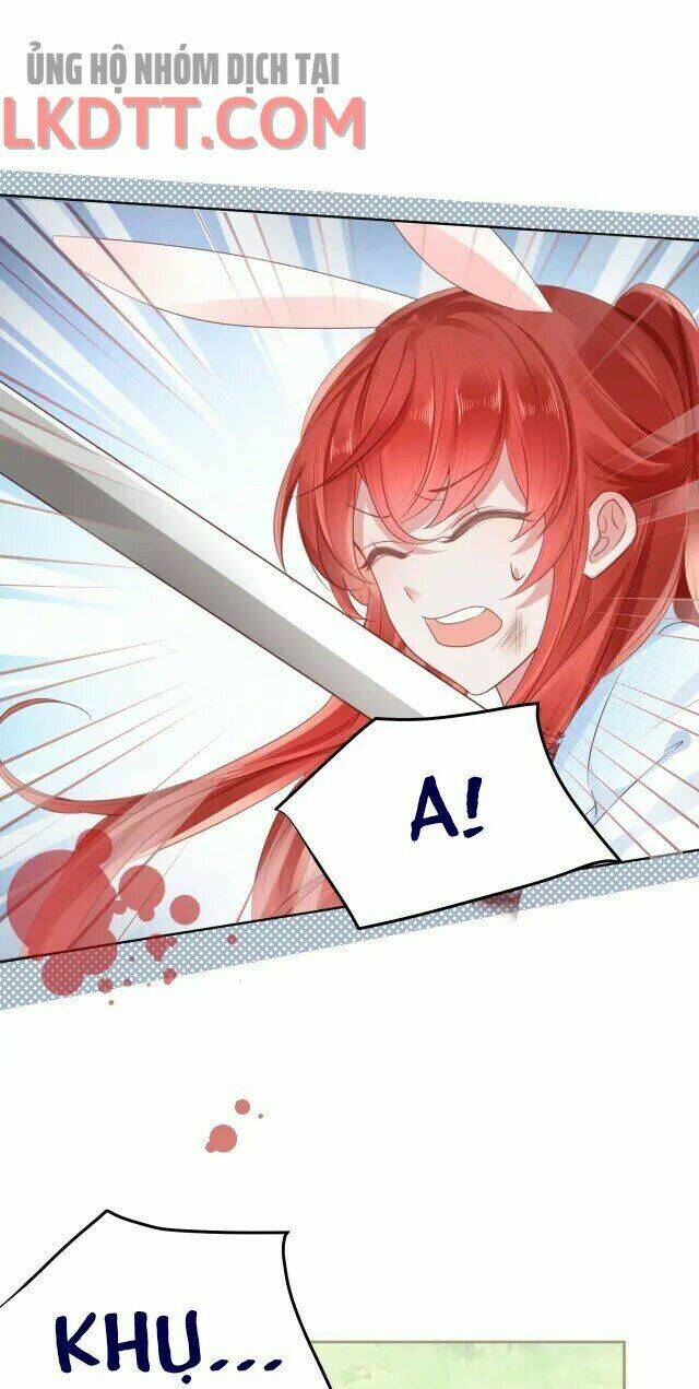 hắc hóa nam chính trực tuyến nuôi thỏ chapter 24 31