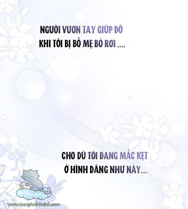 quan hệ cộng sinh giữa báo đen và thỏ trắng chapter 58 61