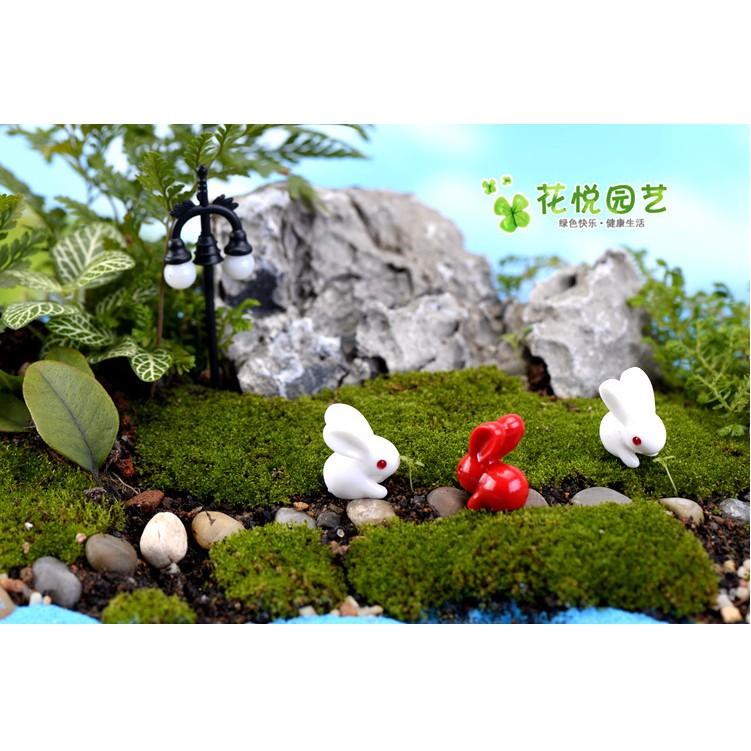 Combo đôi thỏ ngọc Trắng và Đỏ siêu cute trang trí tiểu cảnh