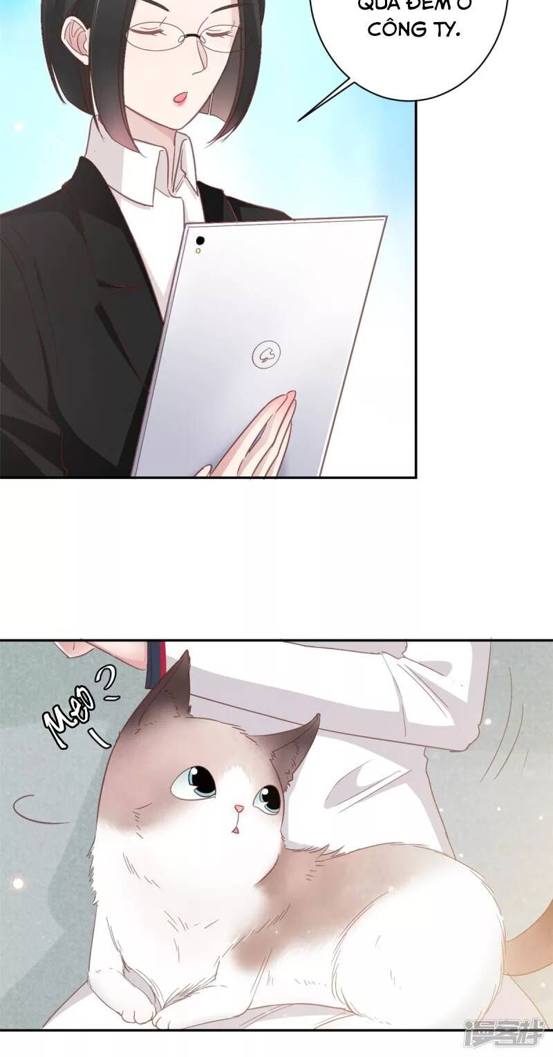 tổng tài, tránh xa tôi ra chapter 11 21