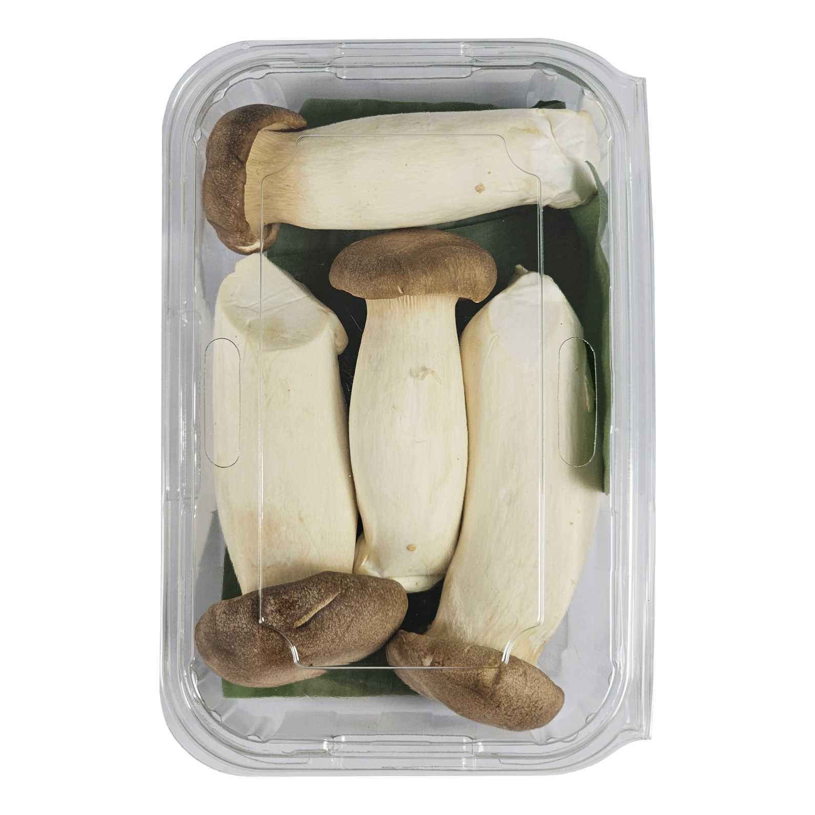 Nấm Đùi Gà 500gr Ngon Sạch - Nông Trại Nấm Xanh