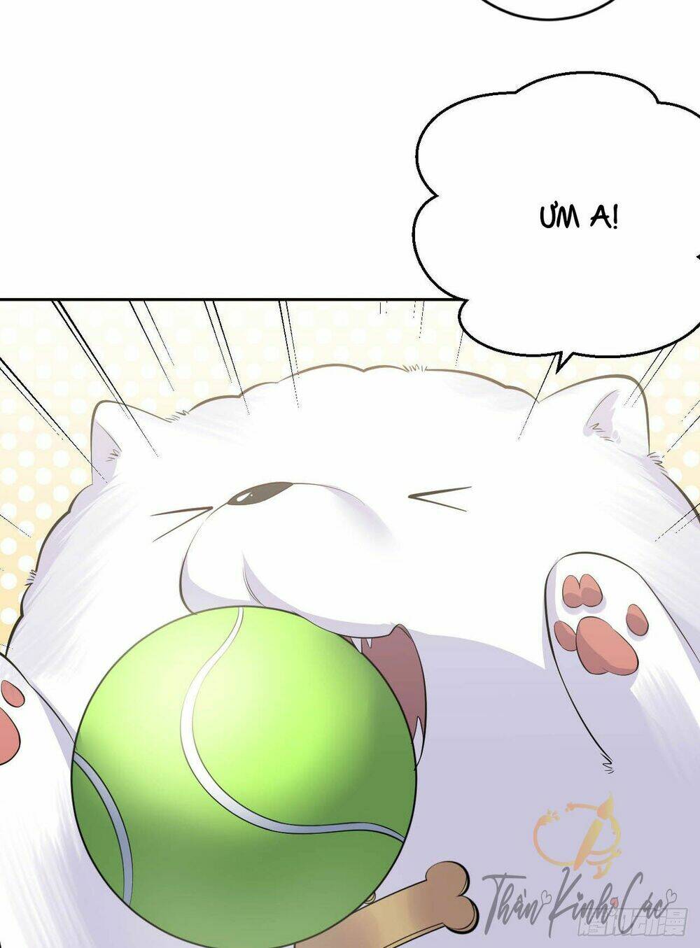 nhạc phụ đại nhân là lão bà chapter 27 43