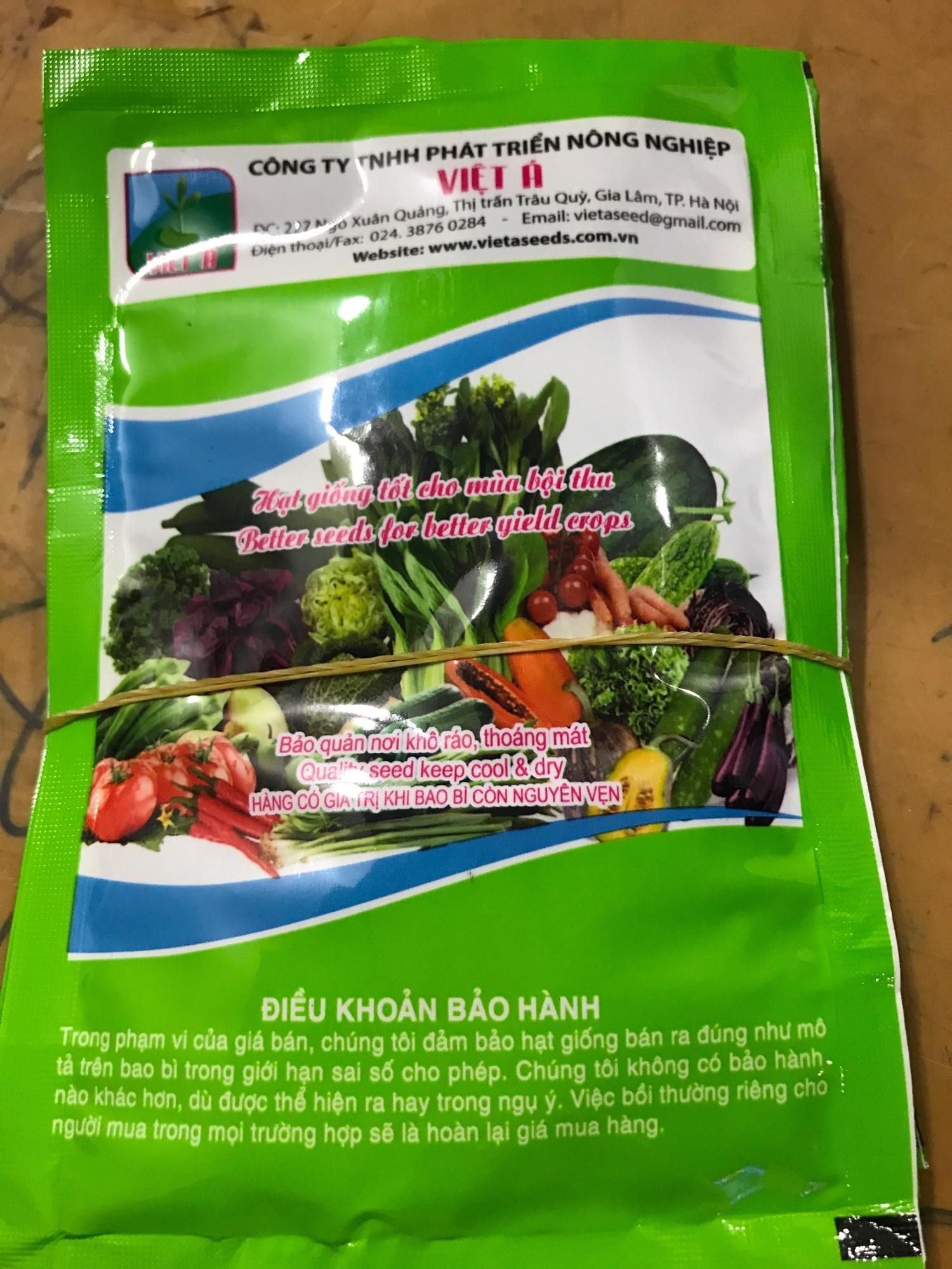Hạt giống cải canh lá vàng cao sản