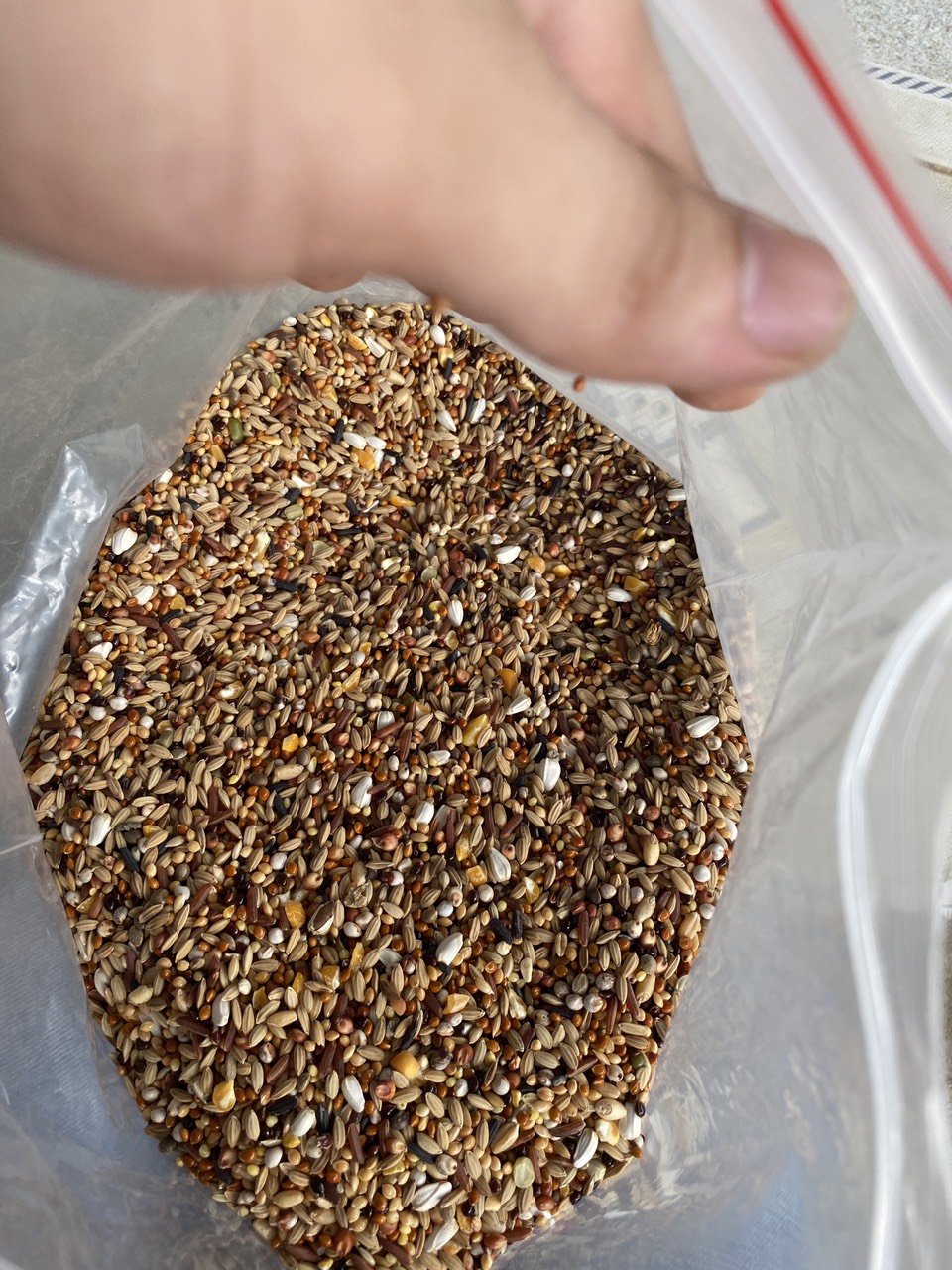 2kg hạt 15 loại ngũ cốc thiên nhiên 100% tăng cường dinh dưỡng giú chim cu cực sung