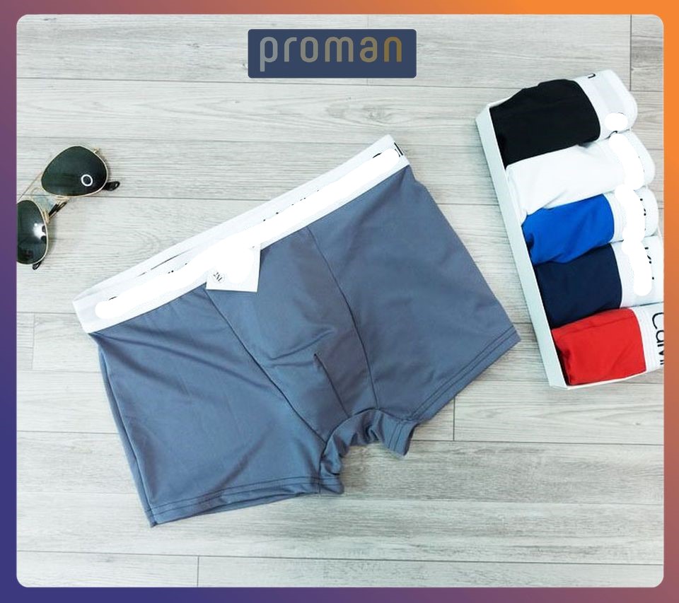 Quần lót nam boxer thun lạnh cao cấp, quần sịp nam co dãn 4 chiều SD01 - PROMAN
