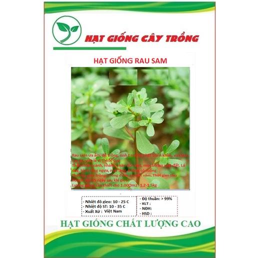 Hạt giống rau sam đất - Gói 2gram