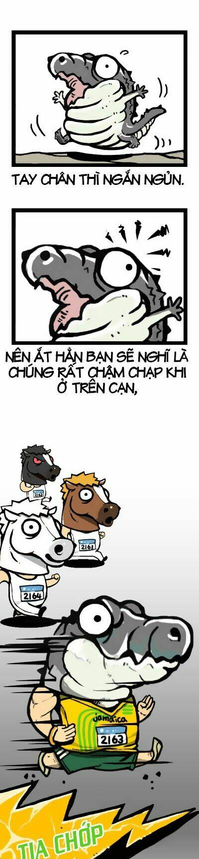 earth, human, and animal chapter 6 8