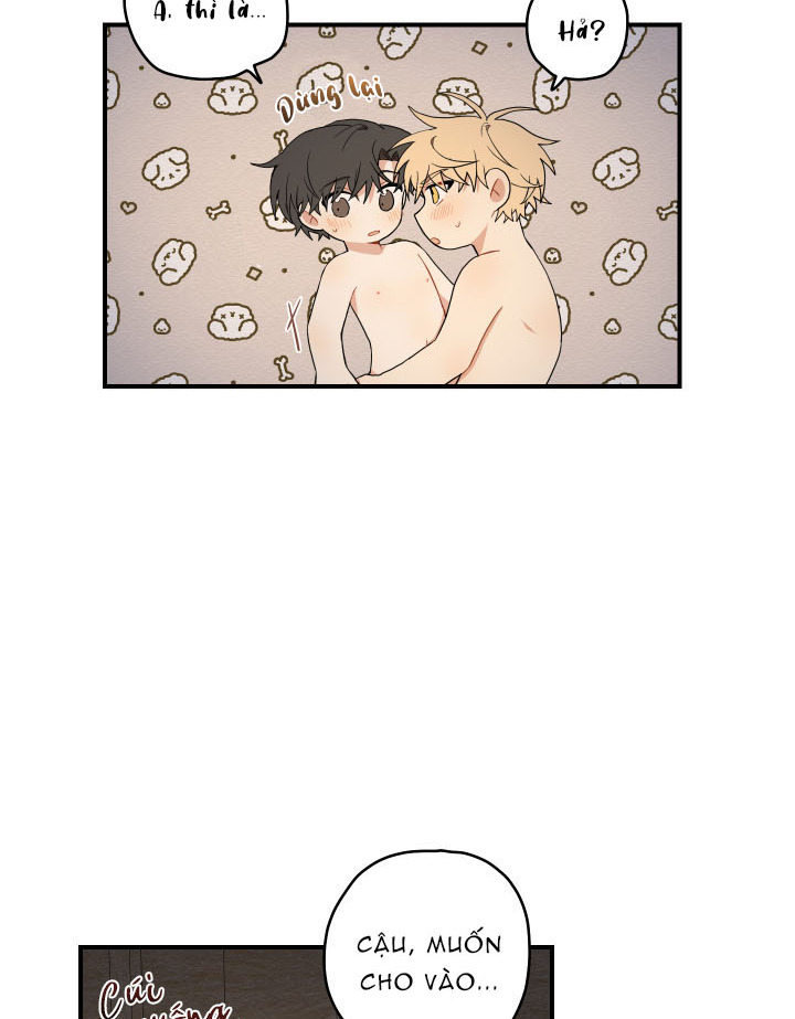 đường hoa liên kiều rơi chapter 15 69