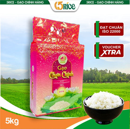 Gạo Chơn Chính ST25 - Túi 5kg - Gạo thượng hạng thơm dẻo, đậm vị chính hãng 5RICE