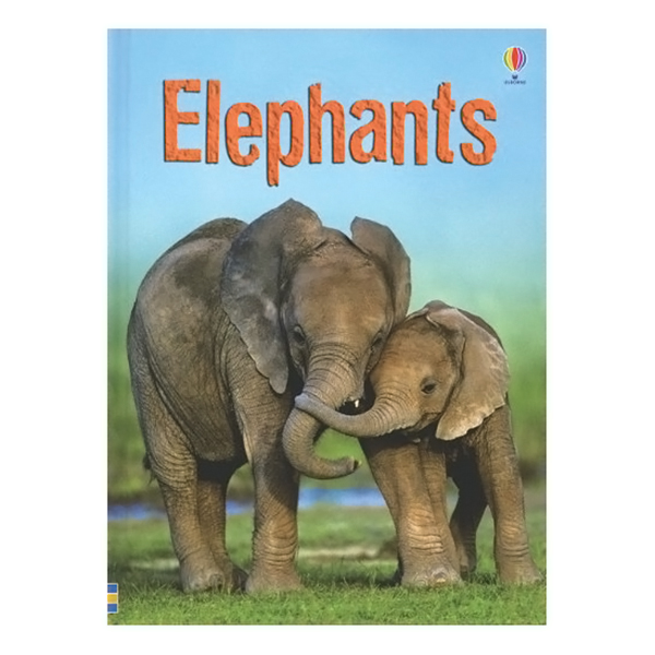 [Hàng thanh lý miễn đổi trả] Usborne Beginners Boxed Set: Animals