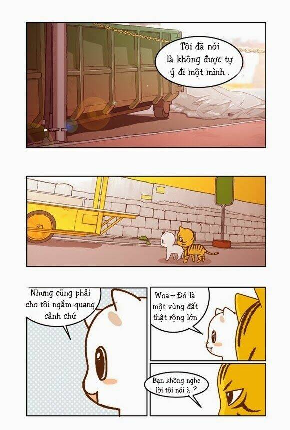 papi nyang chapter 17 13