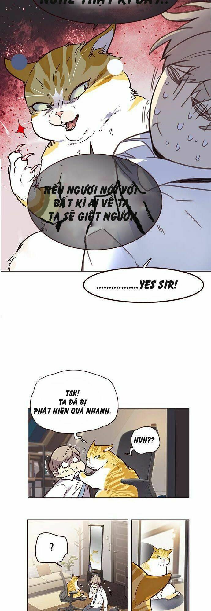 biến thân thành mèo chapter 1 45