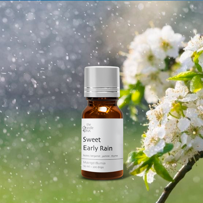 Tinh dầu phối hương 10ml Mưa ngọt đầu mùa - Sweet Early Rain