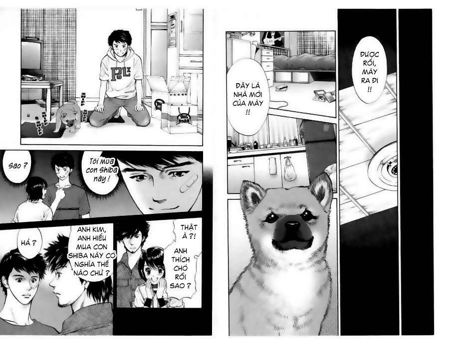 cô nàng yêu chó chapter 20 4