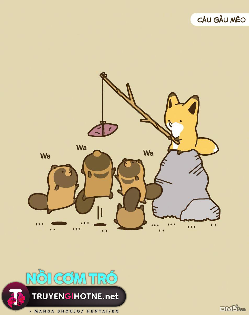 cáo và gấu mèo chapter 9 13