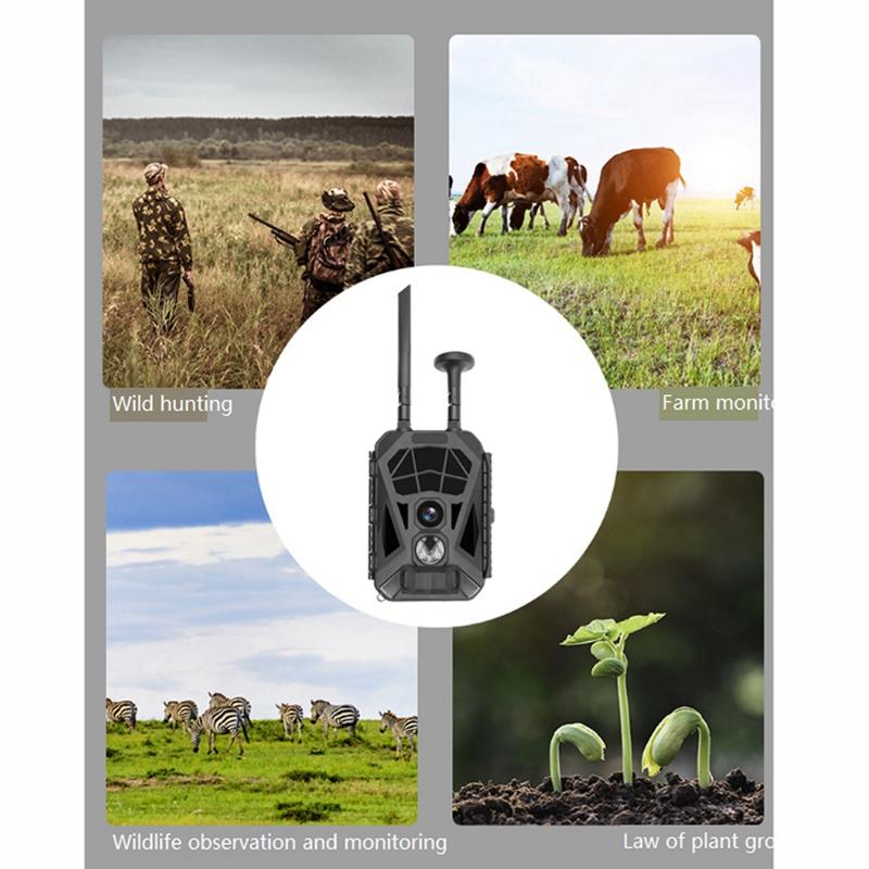 Máy ảnh săn bắn ngoài trời Máy ảnh đường mòn 1080P HD Máy ảnh săn bắn động vật hoang dã hồng ngoại 4G với Hg200 Lte