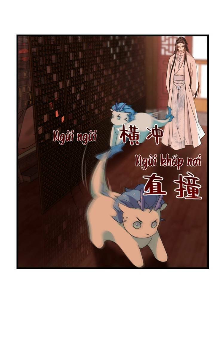 độc bộ thiên hạ: đặc công thần y chapter 163 28