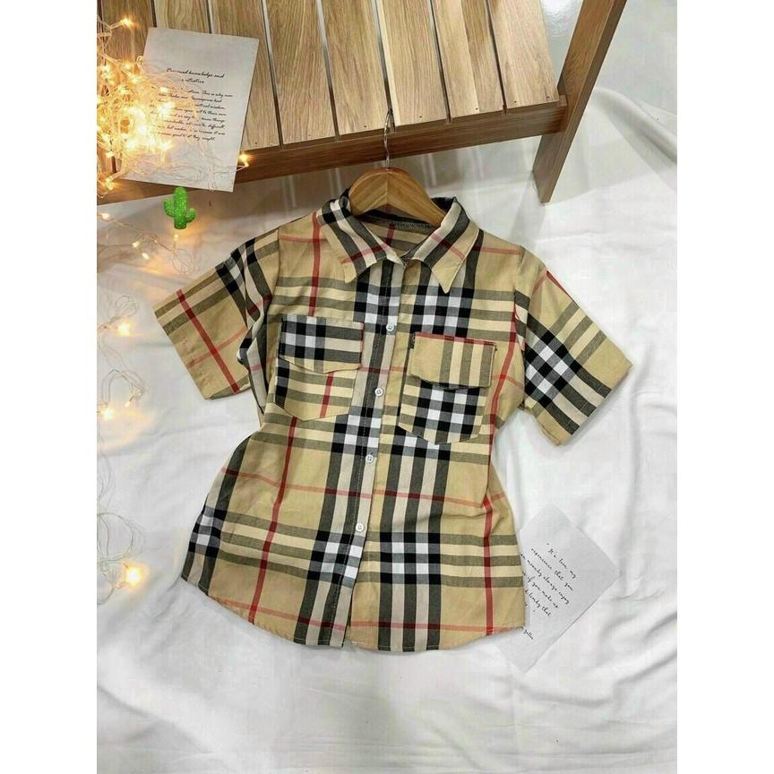 Áo somi nữ tay ngắn sọc Caro BBR