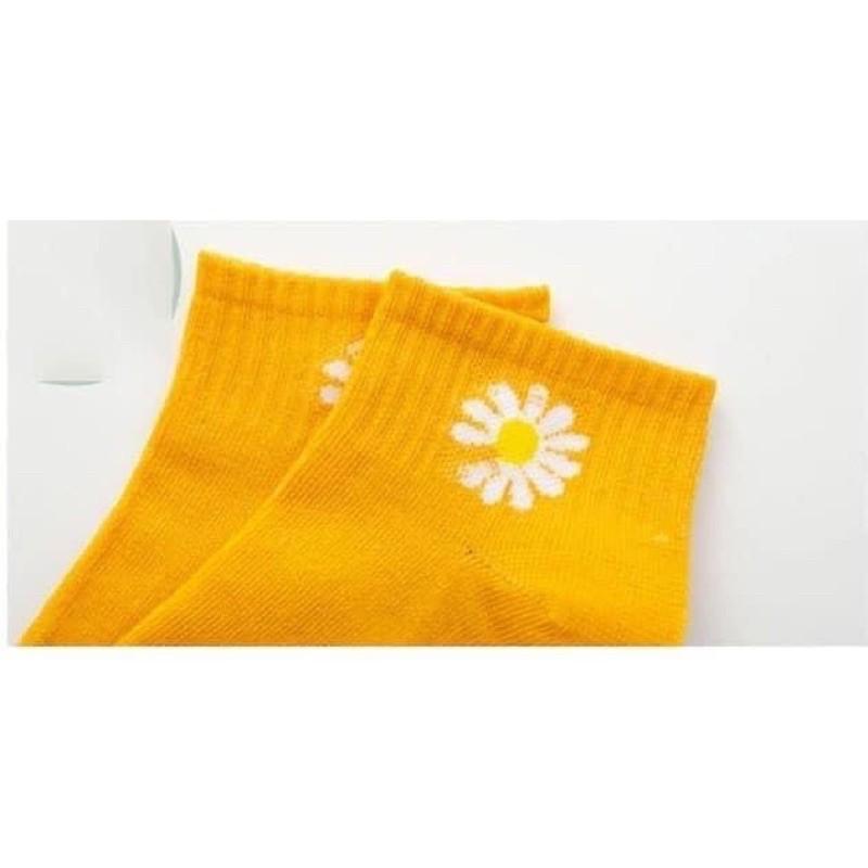 Tất hoa cúc cotton