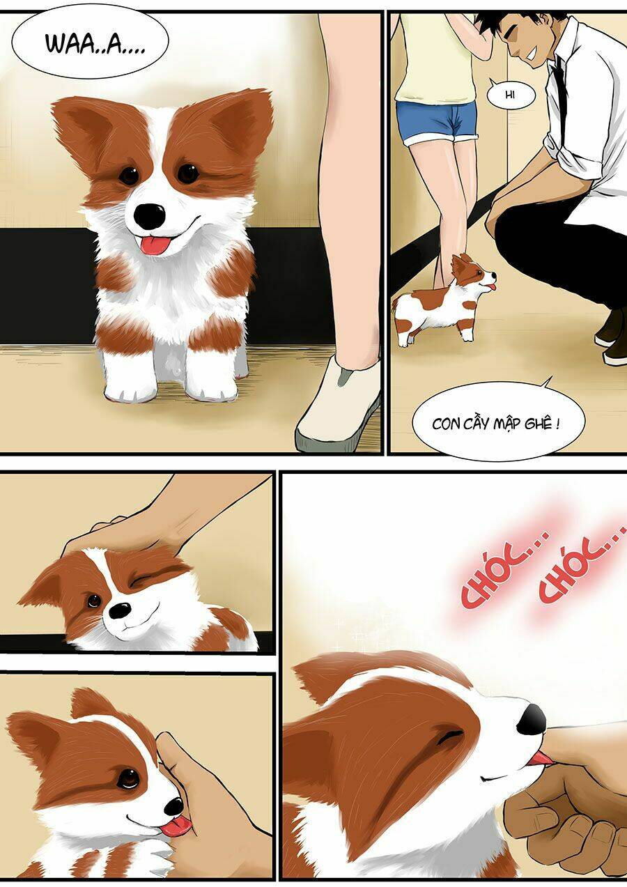 employee and boss - relationship chapter 6 2