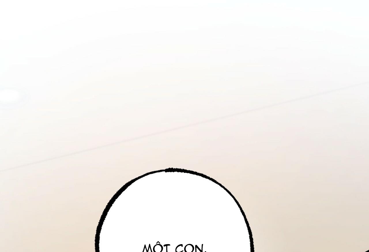 đàn thỏ của habibi chapter 28 103