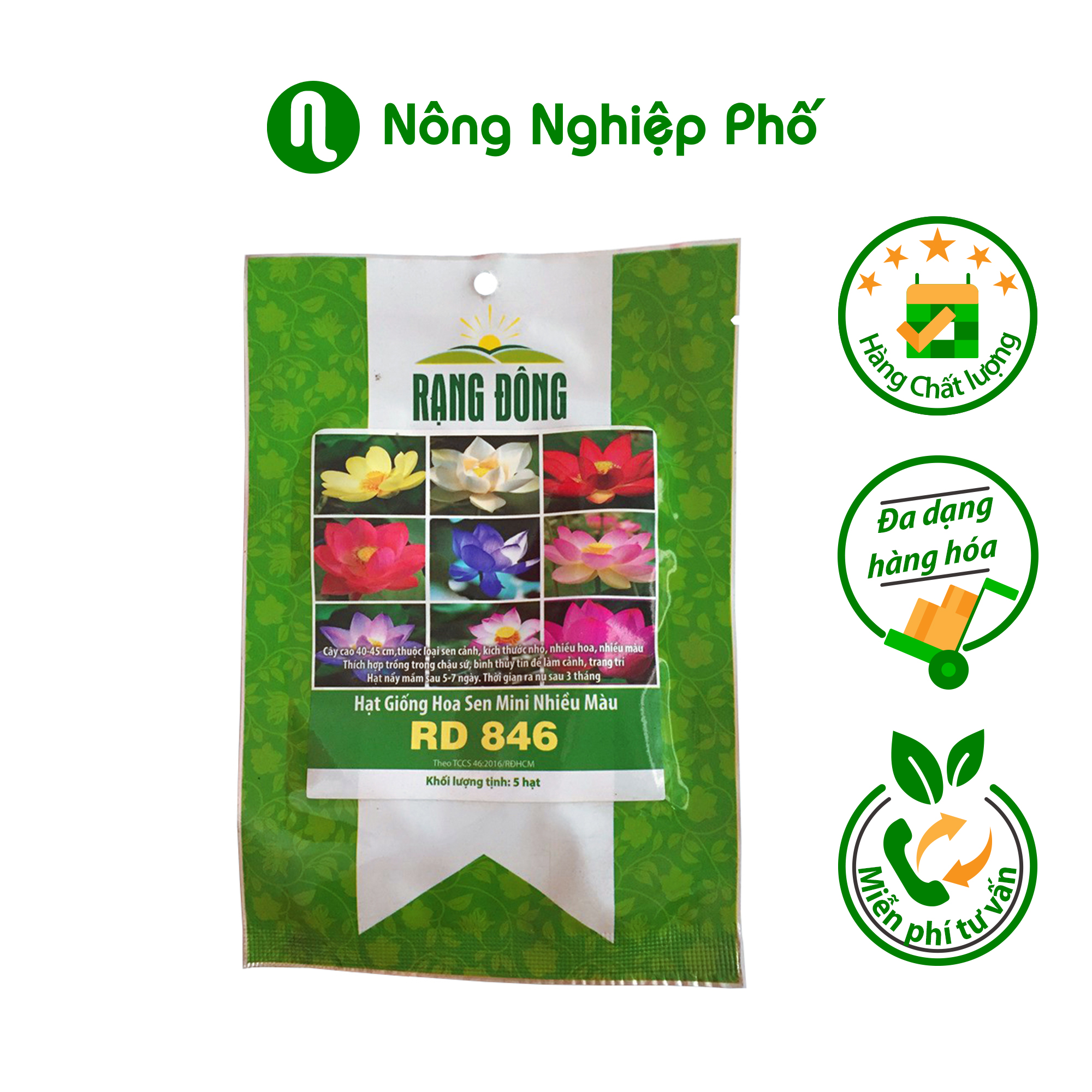 Hạt giống hoa sen mini nhiều màu RD 846 Rạng Đông