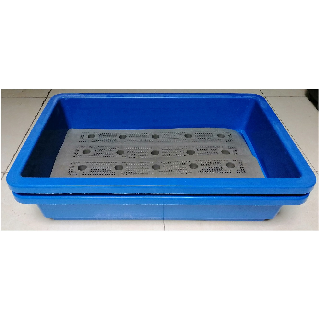 2 KHAY NHỰA TRỒNG RAU KÍCH THƯỚC 68X42X15CM - MÀU XANH