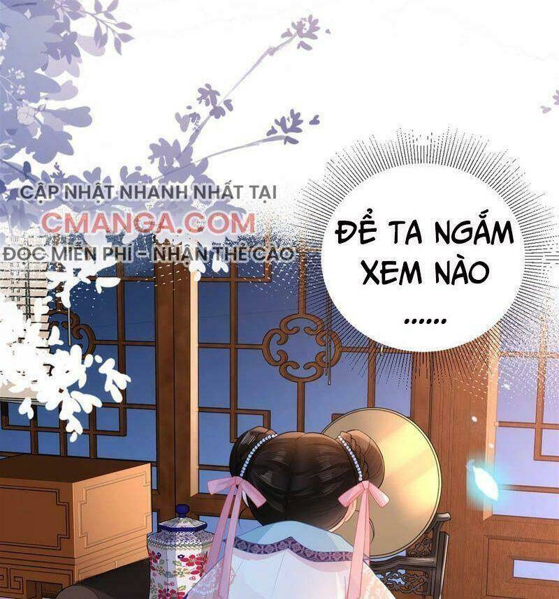 quận chúa vững vàng, thiết lập nhân vật không thể vỡ chapter 23 5