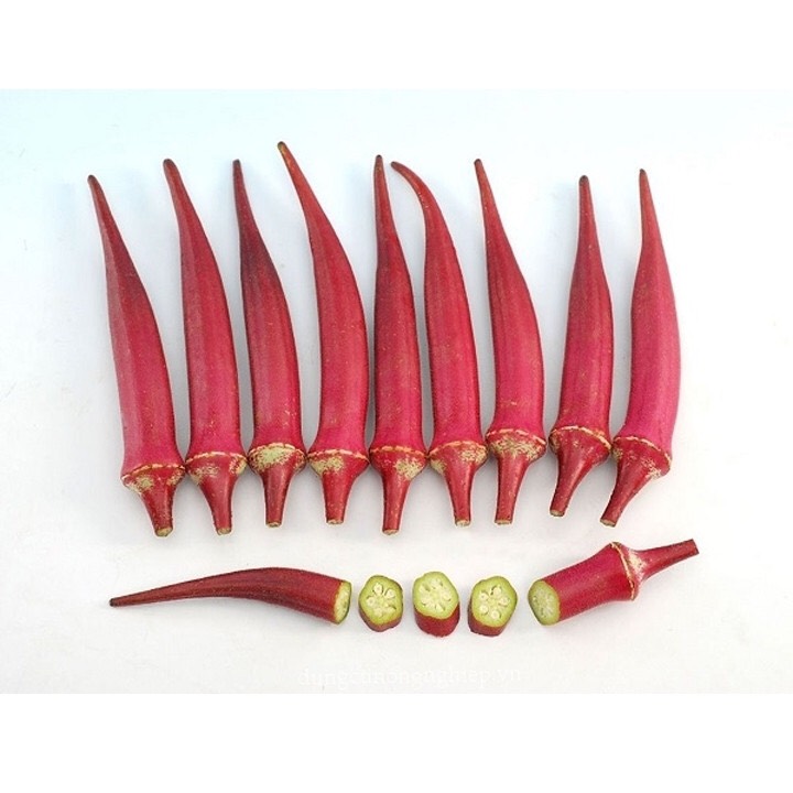 Hạt giống Đậu bắp đỏ 309