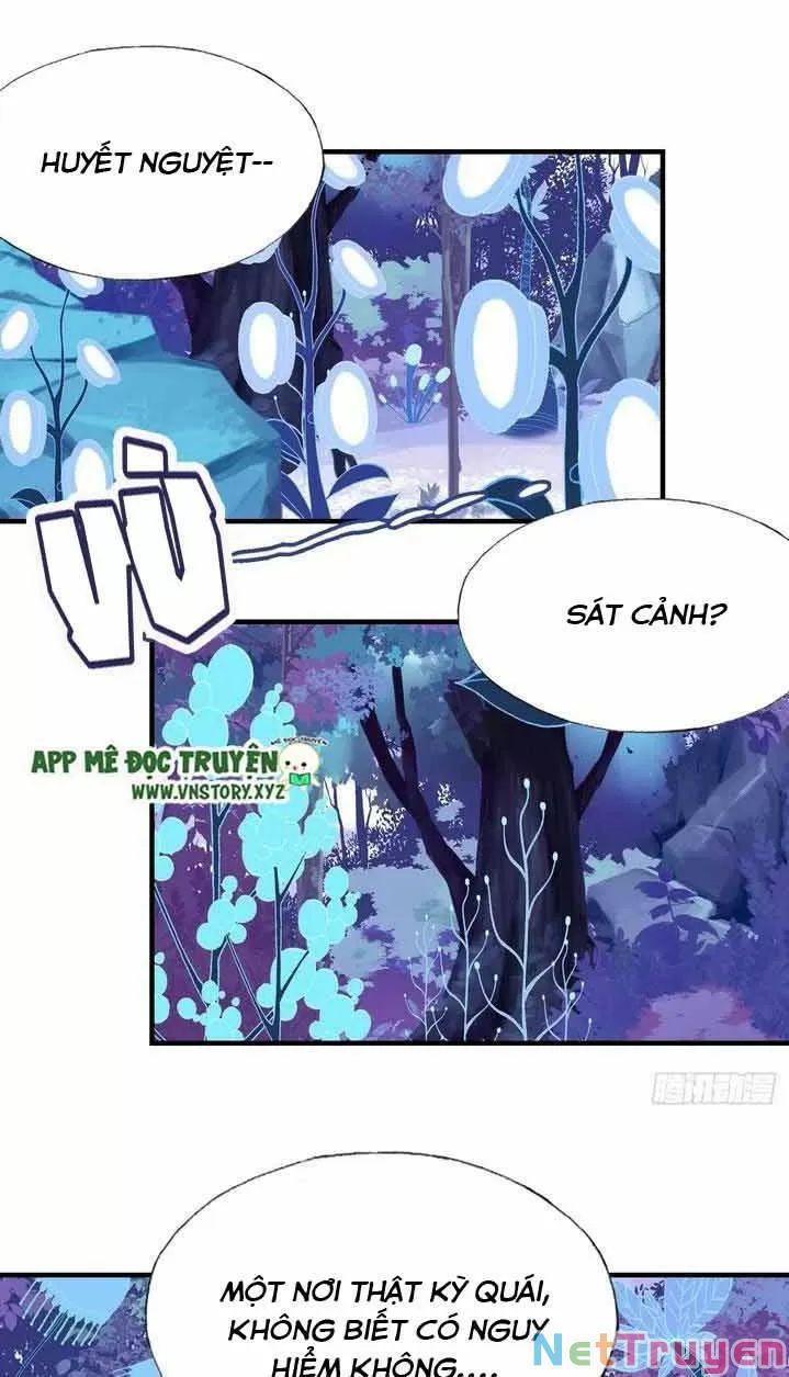 lại bị bệnh chiều chuộng quấn lấy chapter 11 21