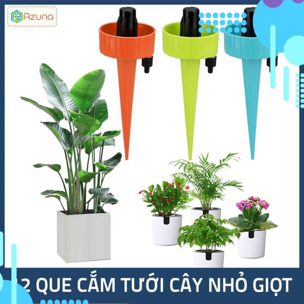 Set 12 que cắm tưới cây nhỏ giọt 206801