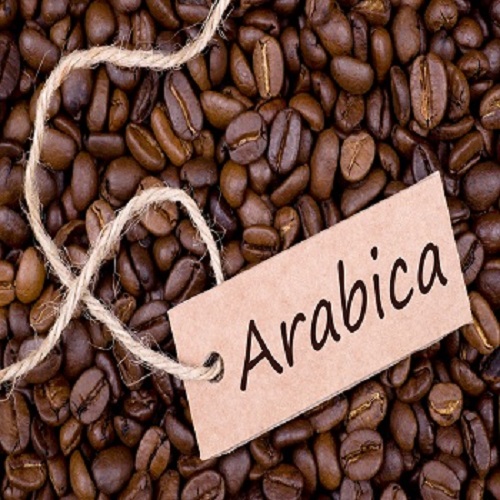 Cà Phê Ngovina - Arabica Cầu Đất - 1KG Dạng Bột