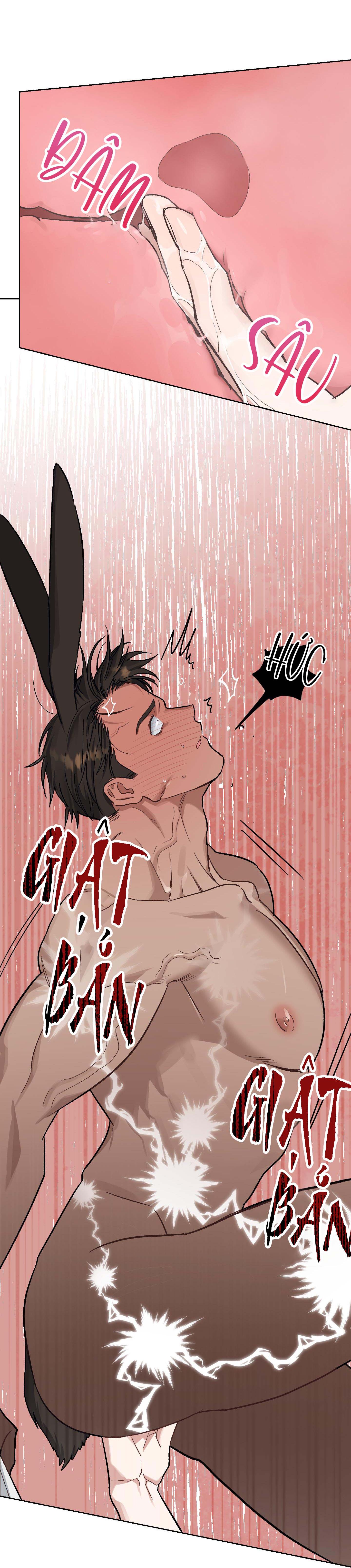 thỏ nhỏ xuất tinh trong 3 giây chapter 4 33