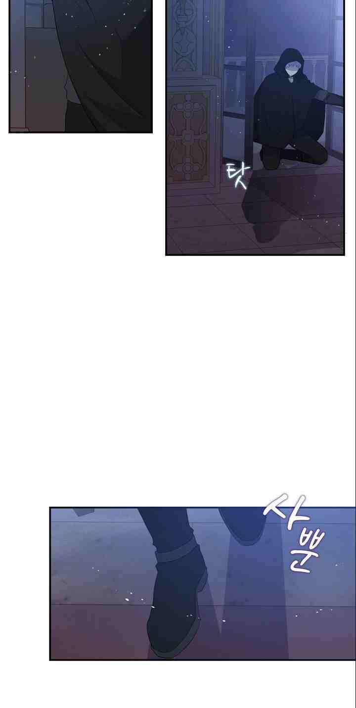 nàng công chúa hai mặt chapter 5 3