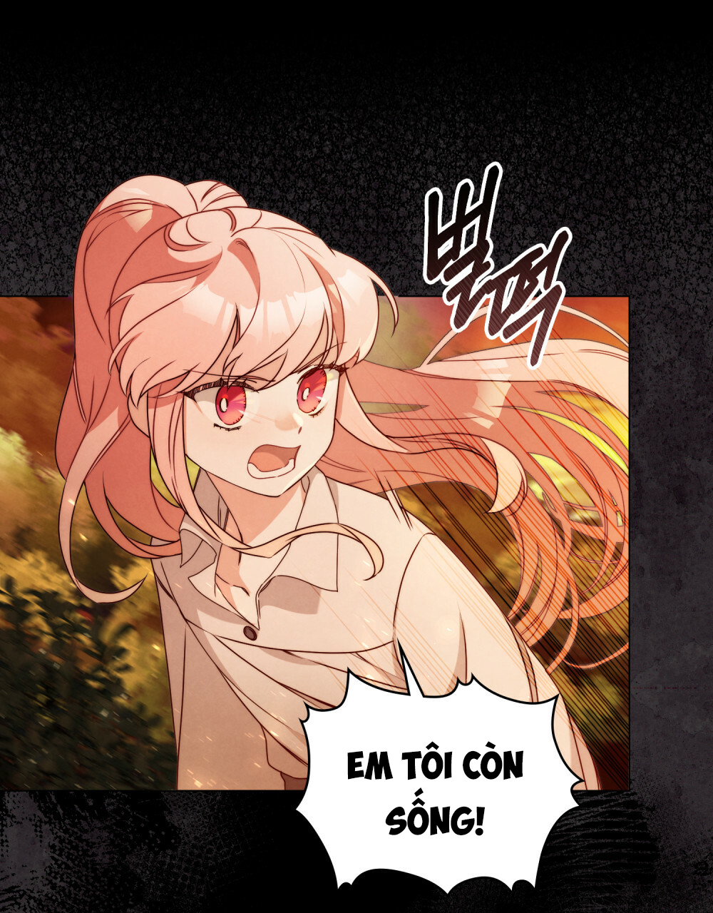 ánh sáng của bình minh chapter 8 27