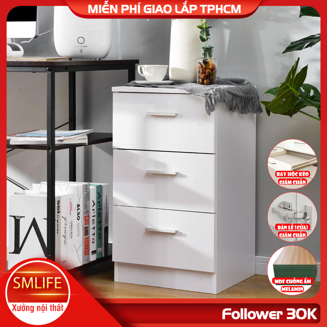 Tủ để tài liệu bằng gỗ kiểu dáng nhỏ gọn SMLIFE Fred