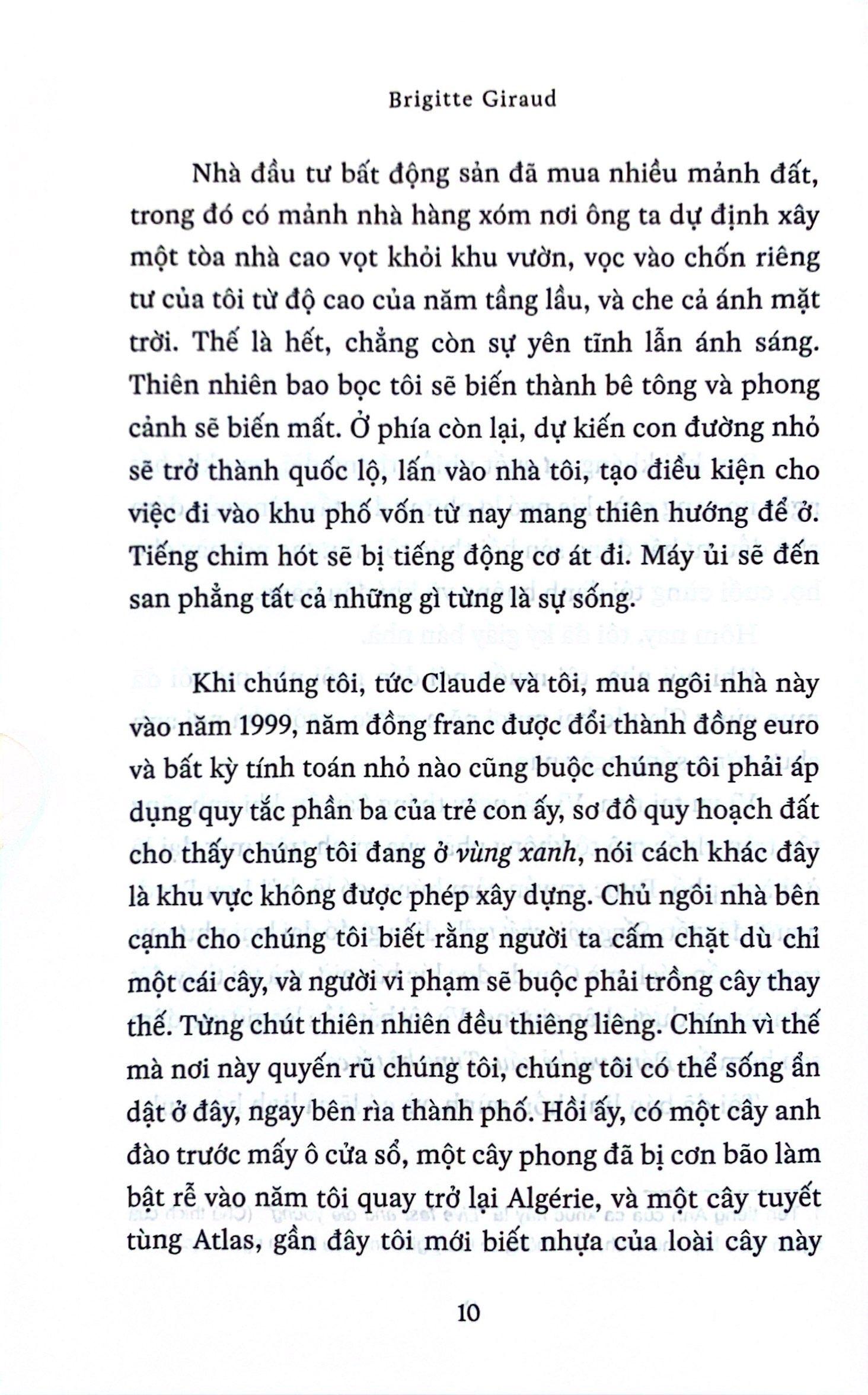 Sống Vội