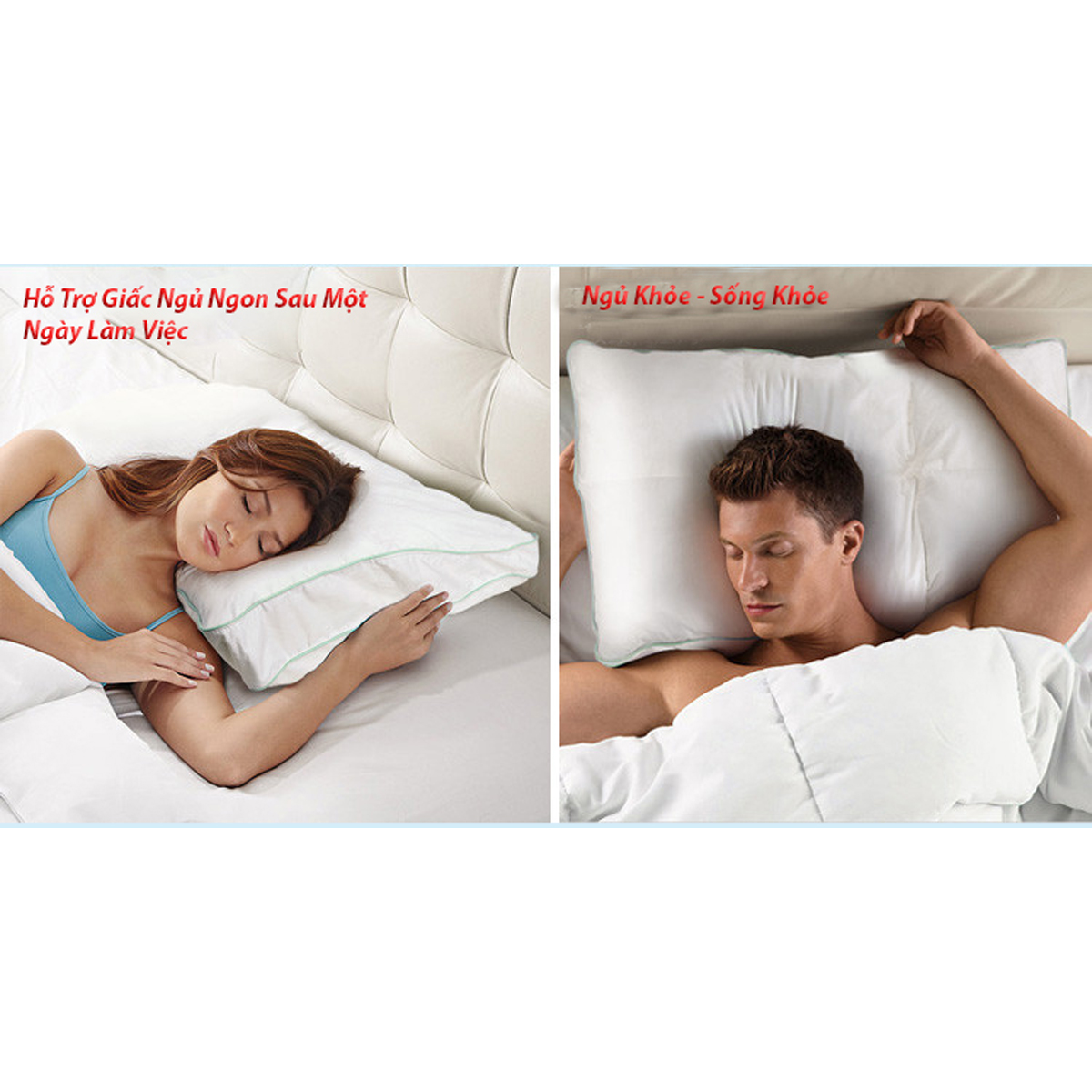 Ruột Gối Nằm Khách Sạn DADA
- Gòn Polyester Nâng Đỡ Vai Gáy