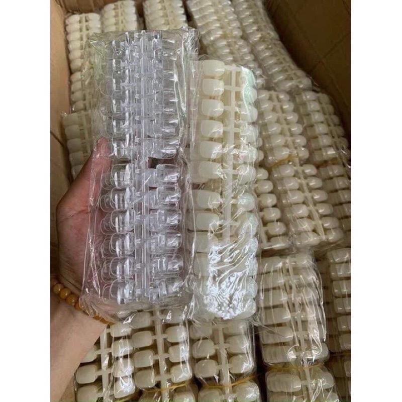Vỉ Móng Mẫu Form Vuông 240 Móng/Bịch, Nhựa Loại 1 Trong Và Đục, Tập Sơn Vẽ Hoạt Hình, Làm Nail Cho Học Viên Và Thợ Mới Nữ Women