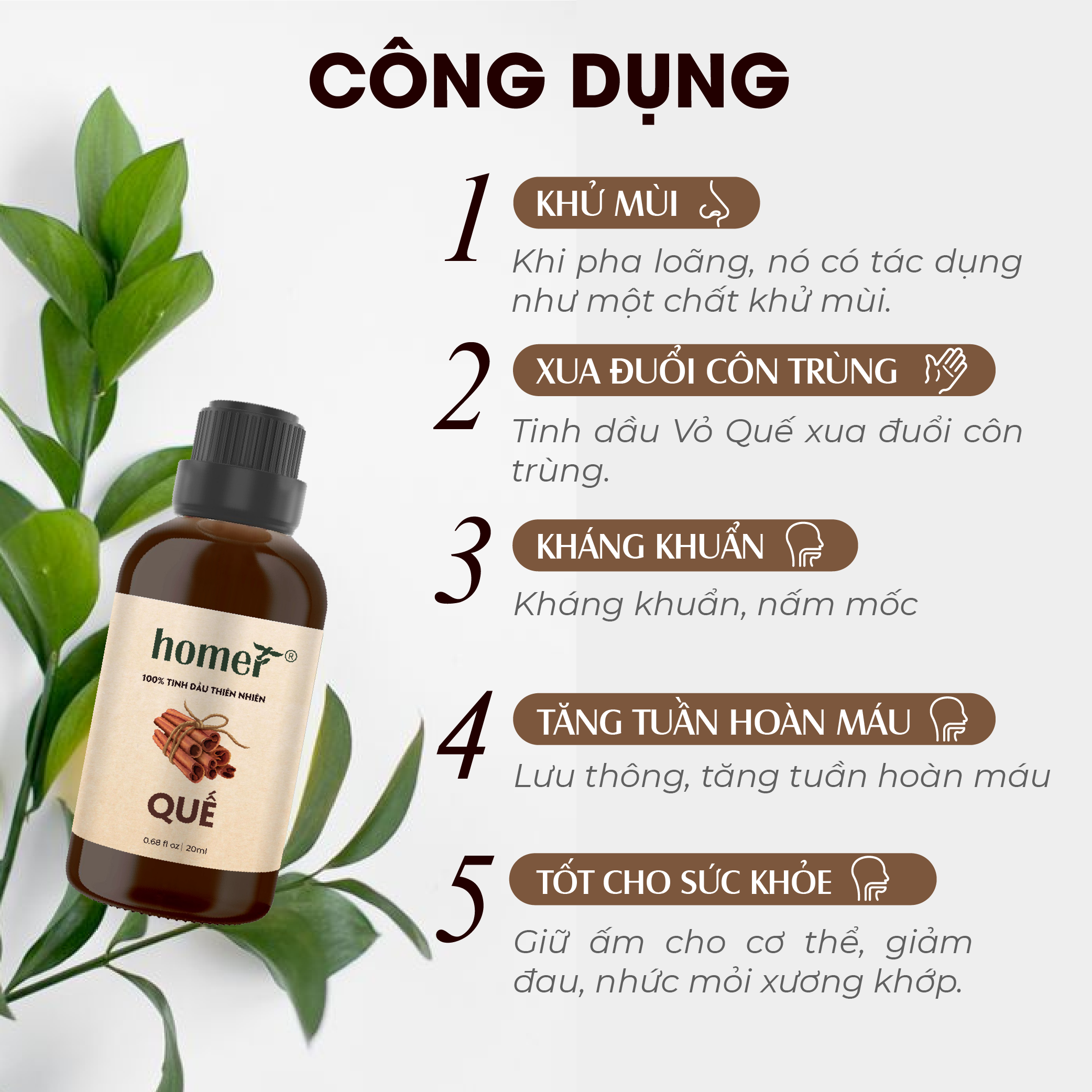 Tinh Dầu Vỏ Quế Homer 100ML - Tinh Dầu Thiên Nhiên Nhập Khẩu Xông Thơm Phòng, Thư Giãn, Khử Mùi - Tinh dầu Sả Chanh/ Bạc Hà/ Cam Ngọt/ Oải hương/ Ngọc Lan Tây/ Tràm Trà/ Bưởi Ngọt