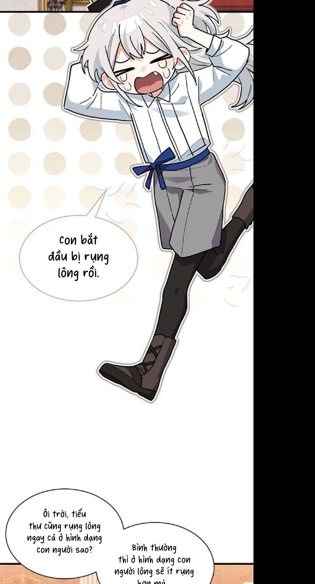 mèo con được gia tộc sói nhận nuôi? chapter 26 41