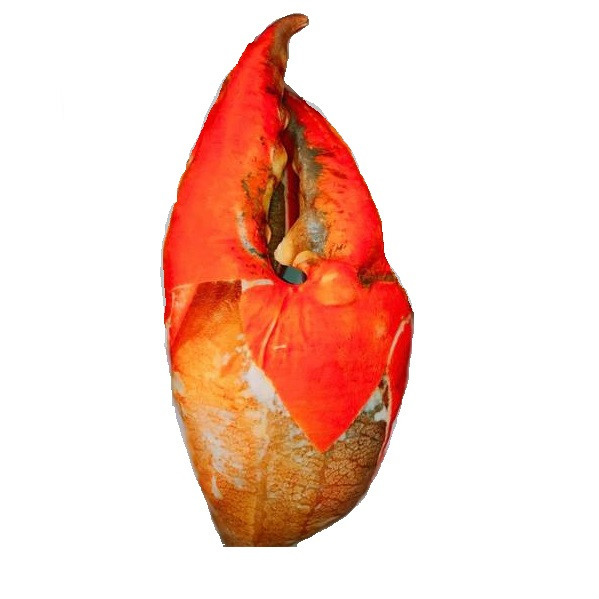 Gối Ôm 3D hình Càng Cua Size 60cm