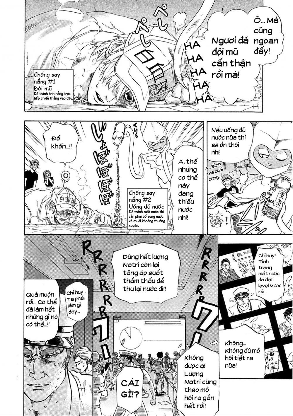 hataraku saibou! chapter 6 19