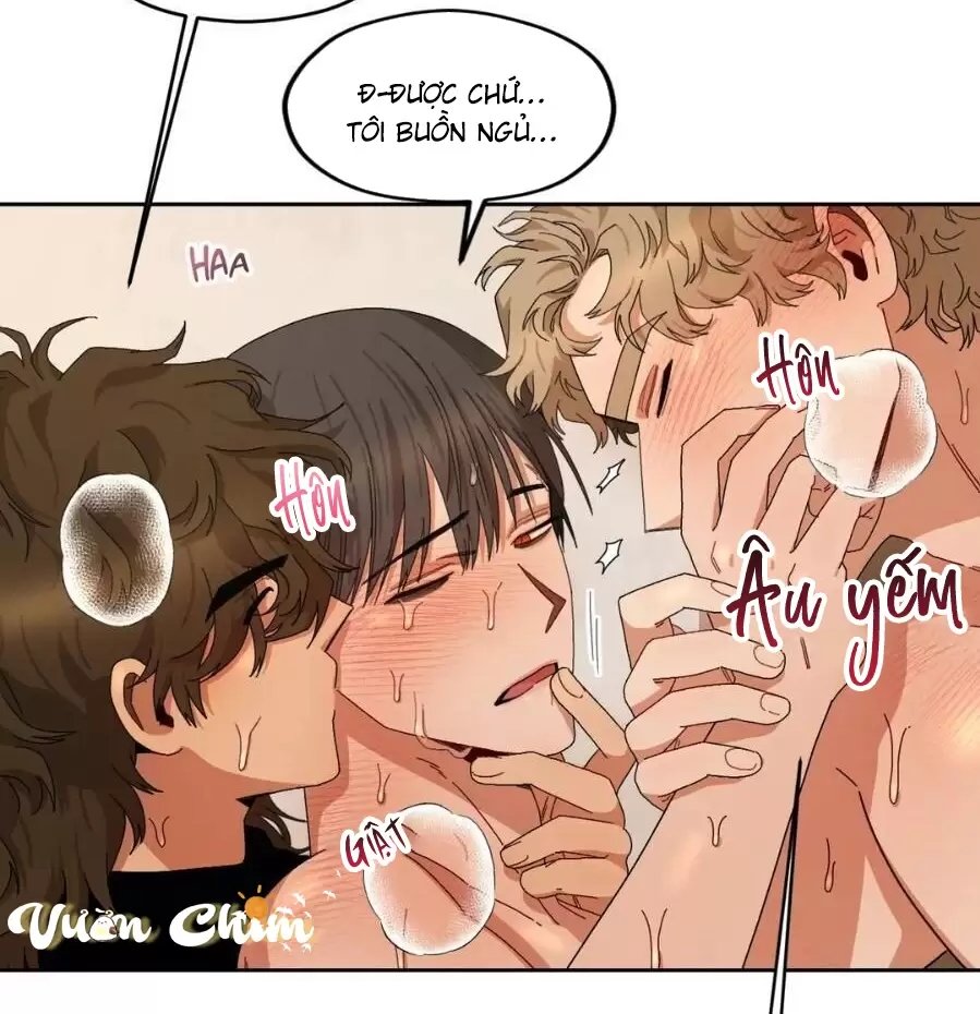 liveta chapter 13 61