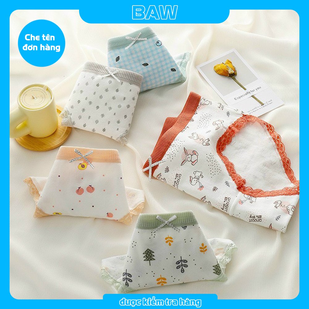 Quần Lót Nữ, Bộ 5 Quần Lót Nữ Cotton Viền Ren In Họa Tiết Dễ Thương Lót May Chống Viêm, Quần Chip Nữ Kháng Khuẩn Cao Cấp Thương Hiệu BAW QM3