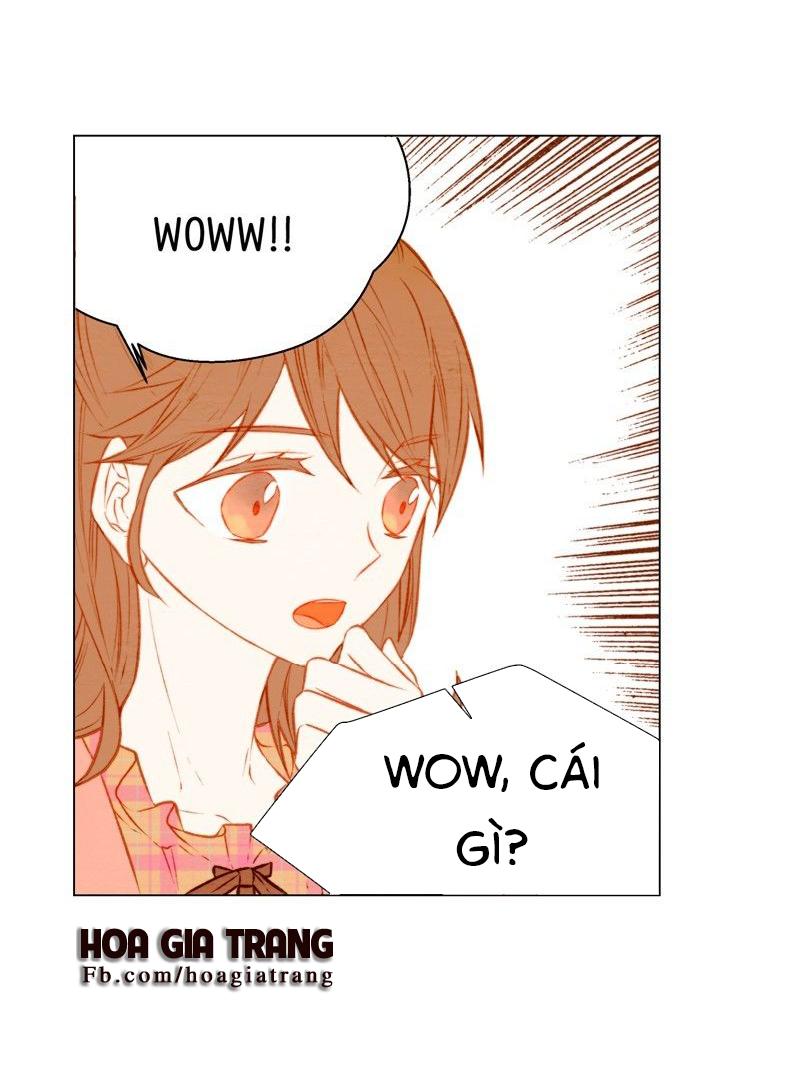 sao chép chapter 25 27