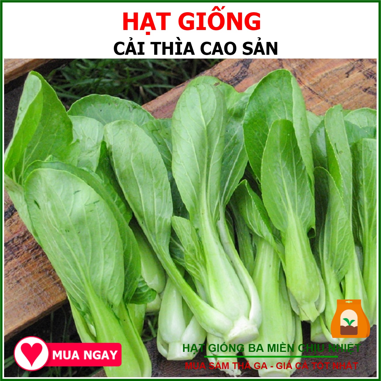 Hạt Giống Cải Thìa Sen Vàng Gói 20gram