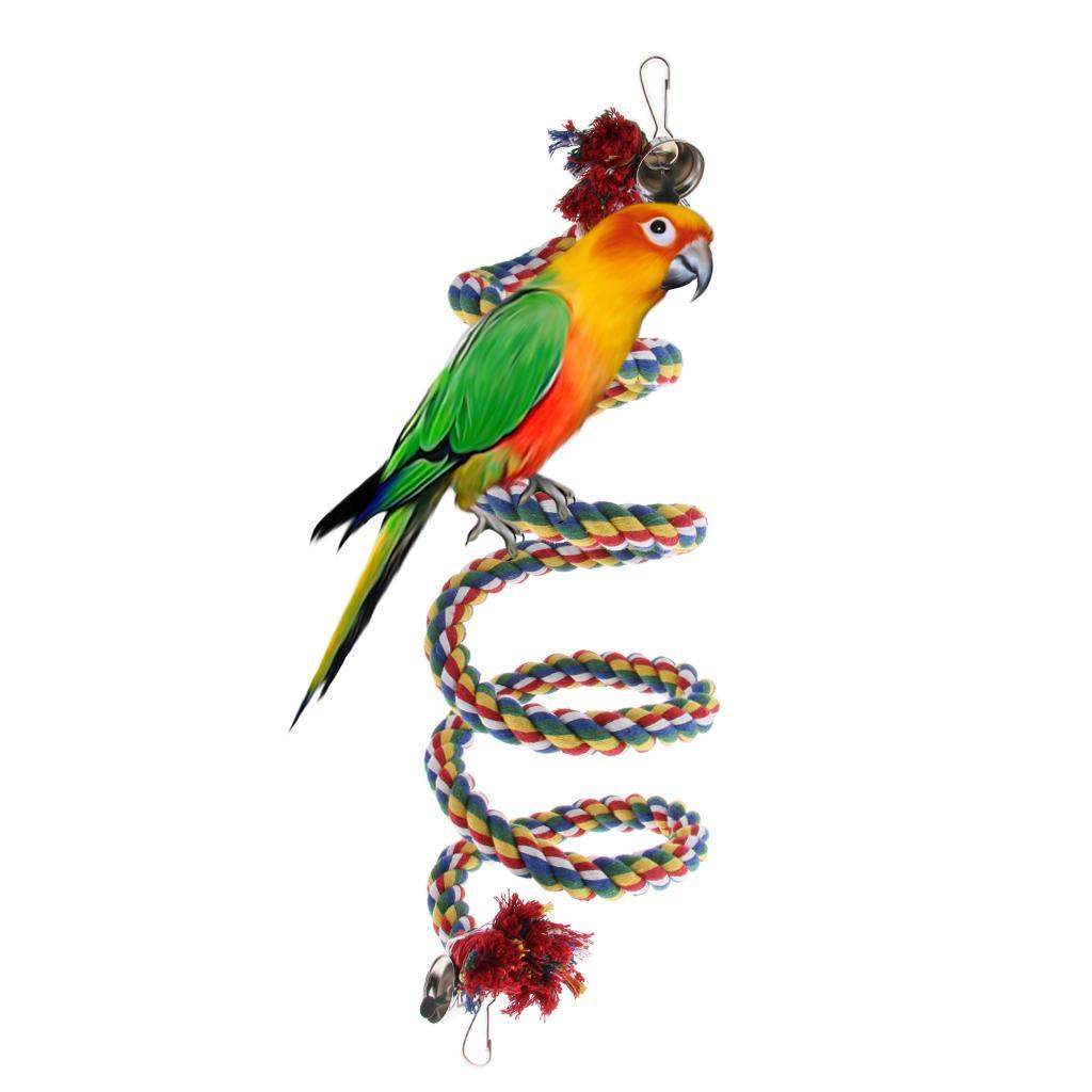 Bird Play Stand Cockatiel Playground Perch Gym with Parrot Swing Toy